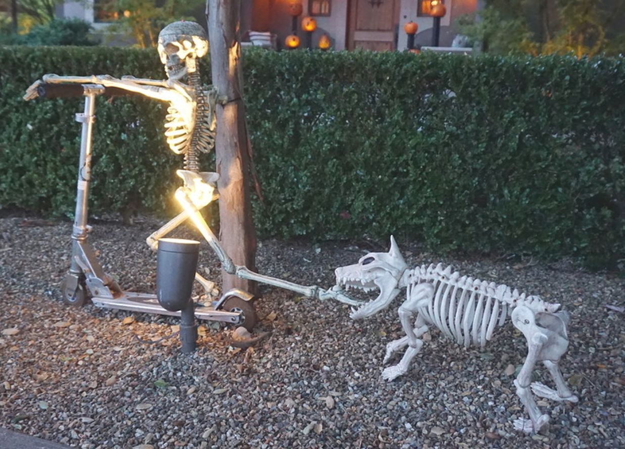 It's mayhem at John Anderson's house at Halloween